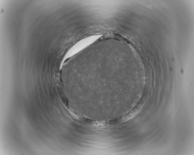 X0000087670624200705251620