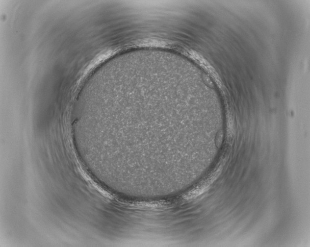 X0000087670625200705251619