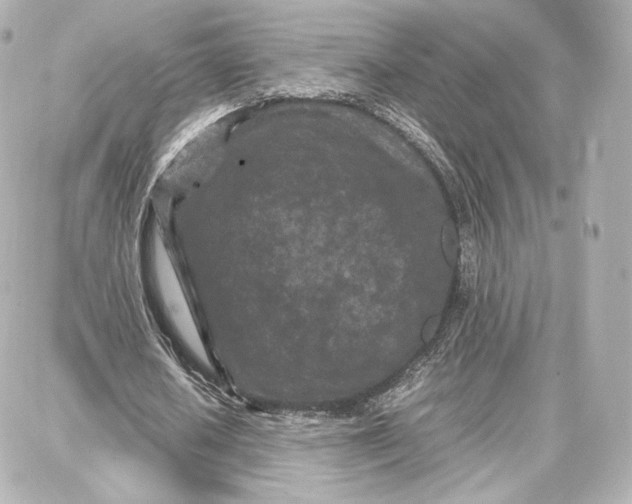 X0000087670626200705251619