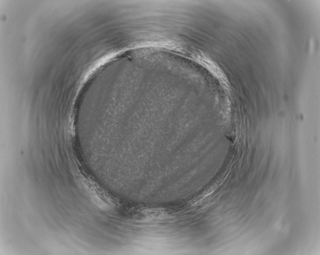 X0000087670628200705251619