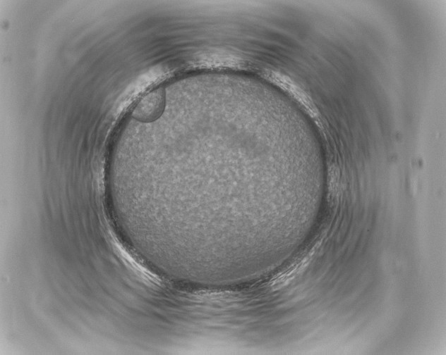 X0000087670629200705251619