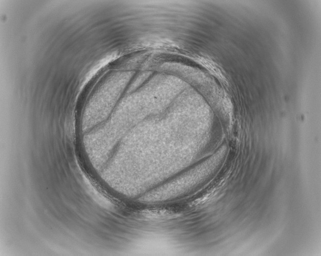 X0000087670630200705251619