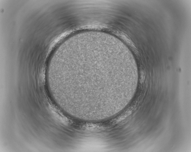 X0000087670632200705251620