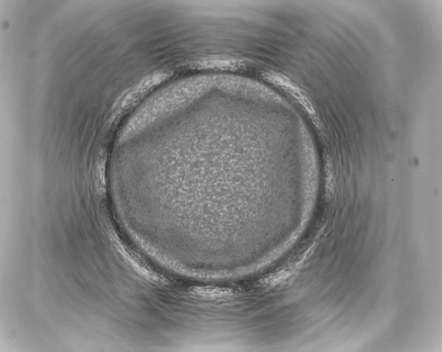 X0000087670633200705251620