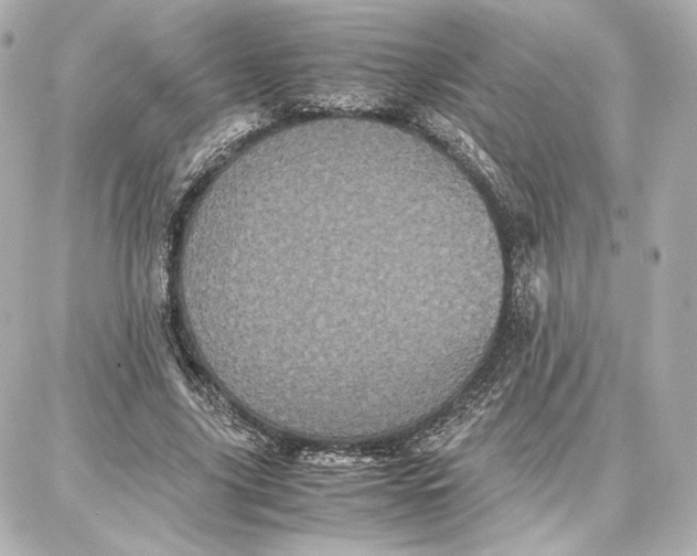 X0000087670635200705251620