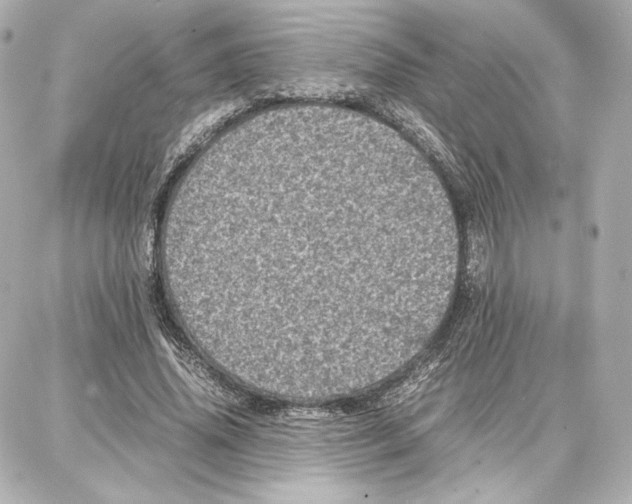 X0000087670636200705251620