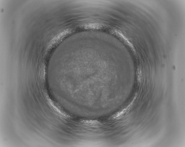 X0000087670637200705251620