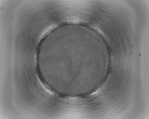 X0000087670638200705251620