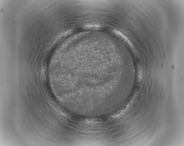 X0000087670641200705251620