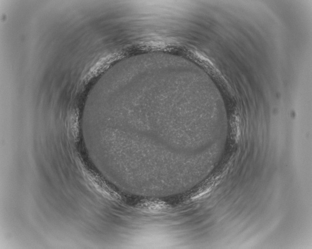 X0000087670642200705251620