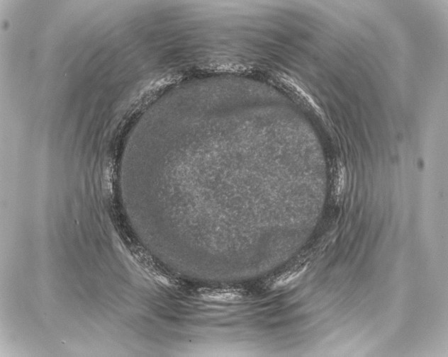 X0000087670643200705251620