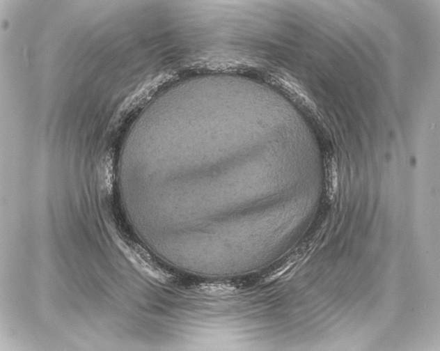 X0000087670644200705251620