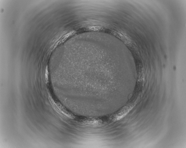 X0000087670646200705251620