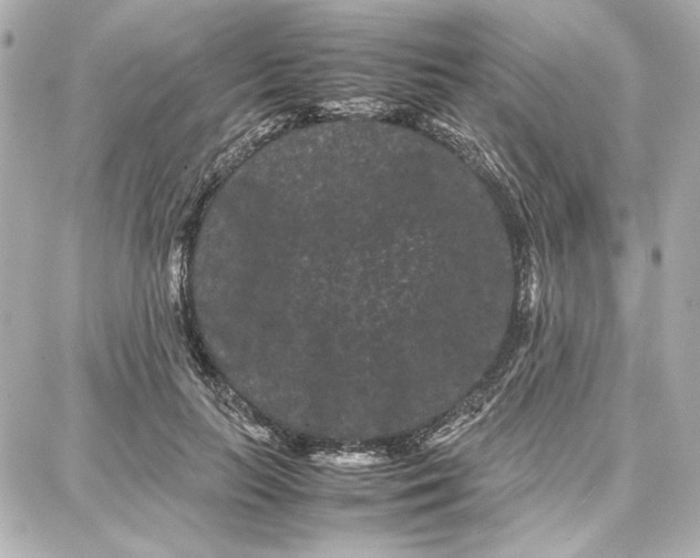 X0000087670647200705251620