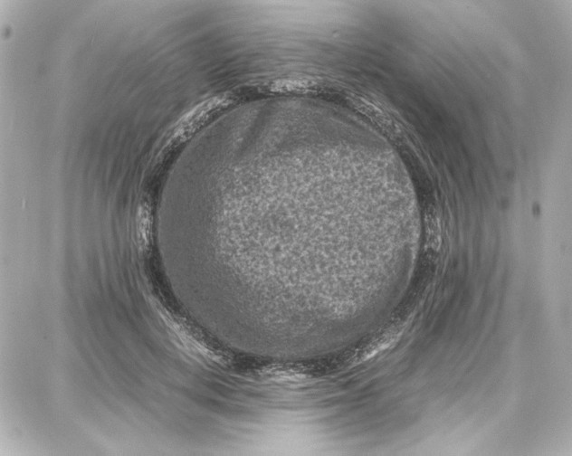 X0000087670648200705251620