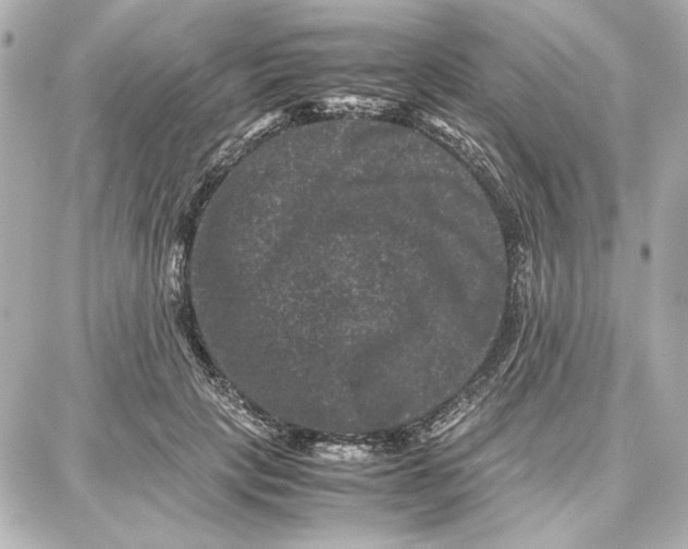 X0000087670649200705251620