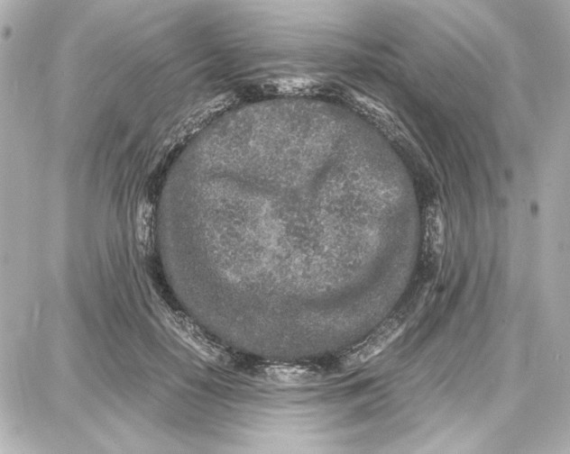 X0000087670650200705251620