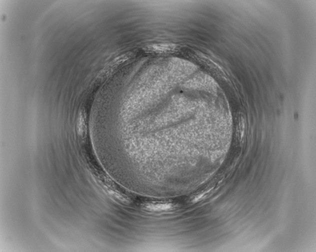 X0000087670651200705251620