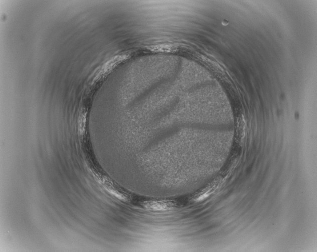 X0000087670652200705251620