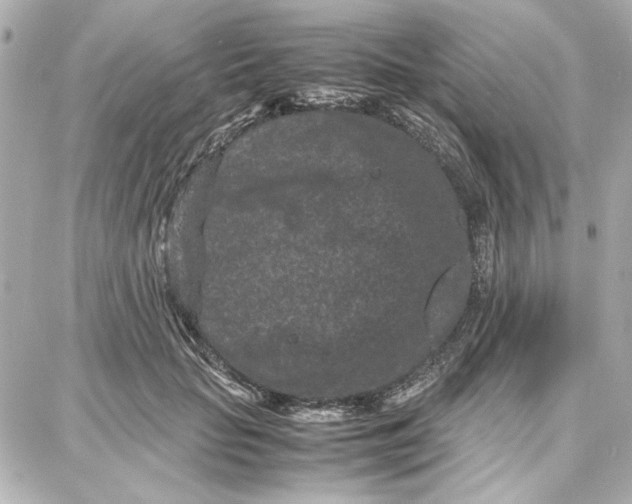 X0000087670653200705251620