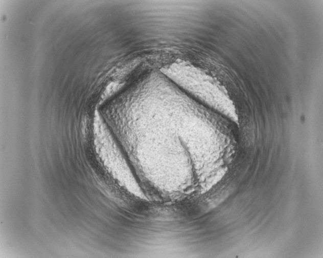 X0000087670654200705251620