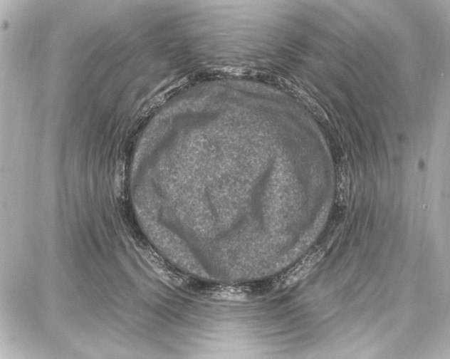 X0000087670656200705251620