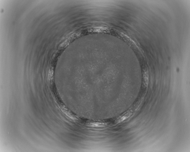 X0000087670657200705251620