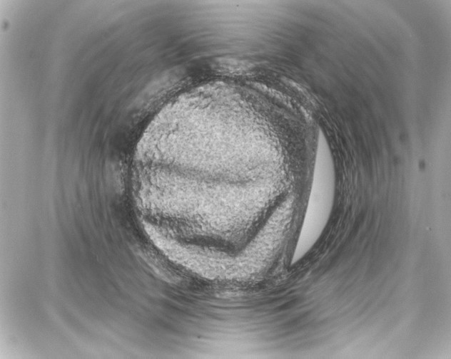 X0000087670658200705251620