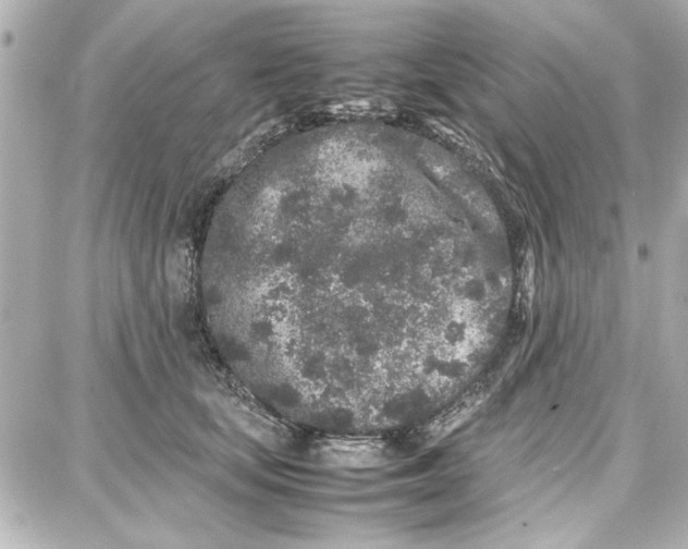 X0000087670659200705251620