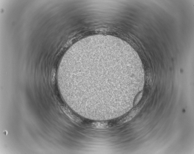 X0000087670660200705251620