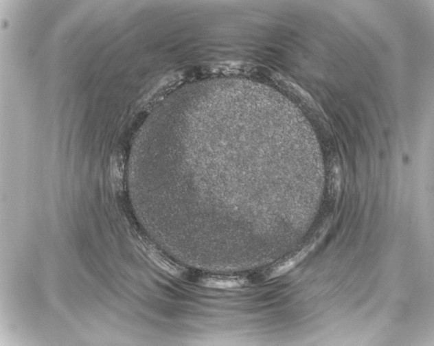 X0000087670661200705251620