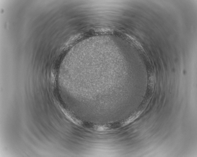 X0000087670662200705251620