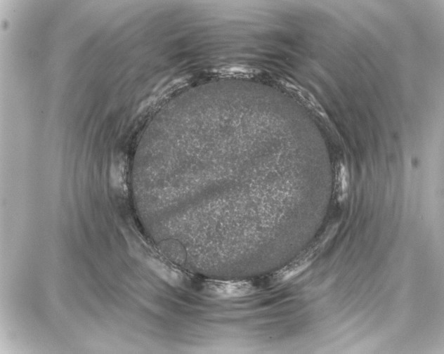 X0000087670663200705251620