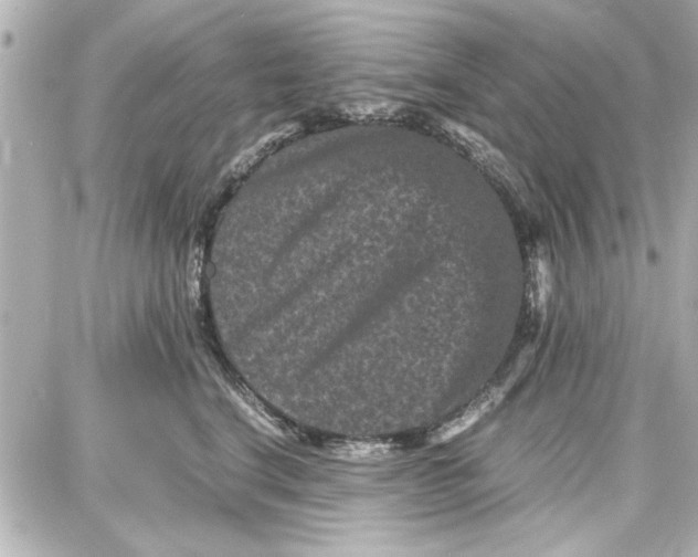 X0000087670664200705251620