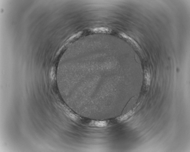 X0000087670665200705251620