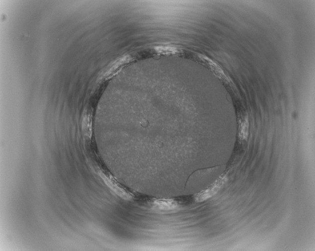 X0000087670666200705251620