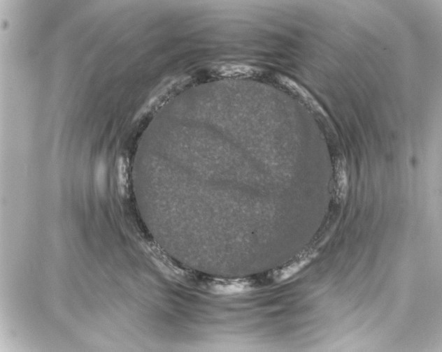 X0000087670667200705251620