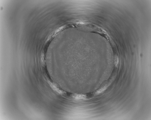 X0000087670670200705251620