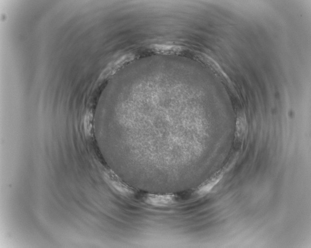 X0000087670671200705251620