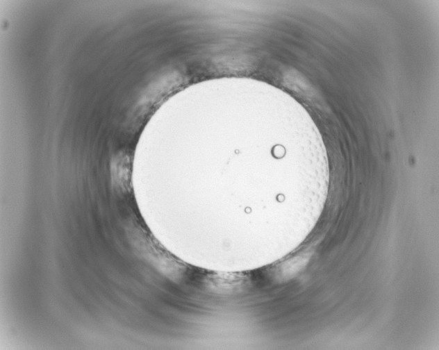 X0000087670672200705251620