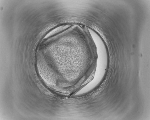 X0000087670673200705251619