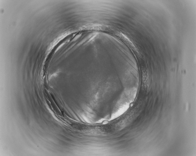 X0000087670674200705251619