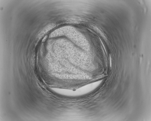 X0000087670675200705251619