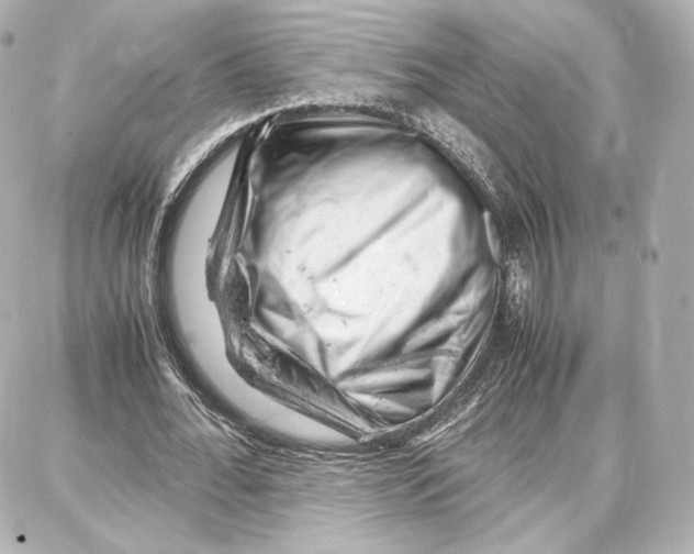 X0000087670676200705251619