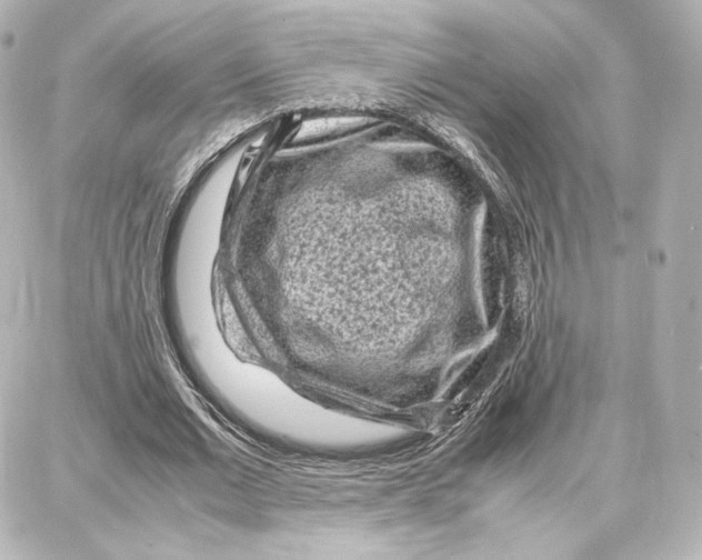 X0000087670677200705251619