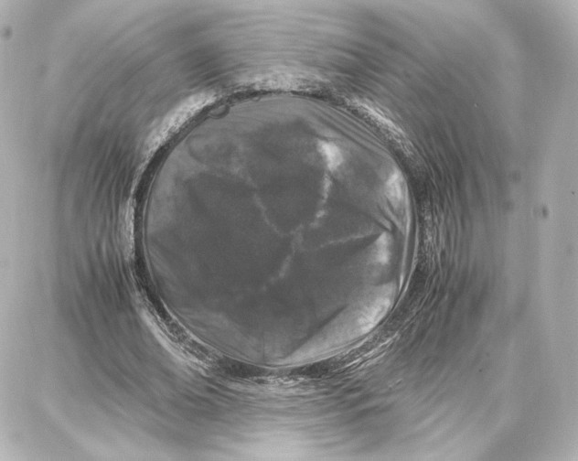 X0000087670678200705251619