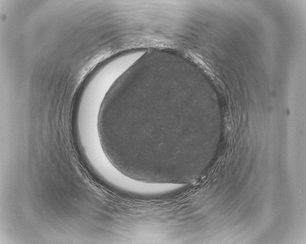 X0000087670679200705251619