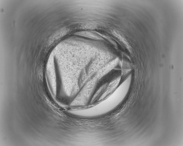 X0000087670681200705251619