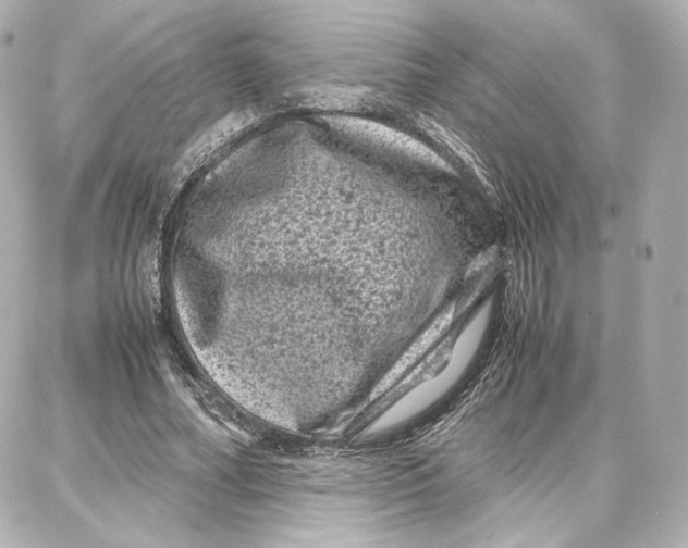 X0000087670682200705251619