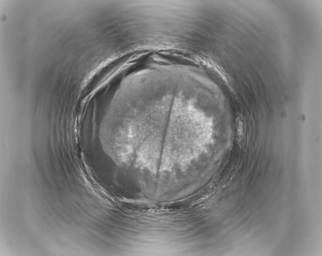 X0000087670684200705251619